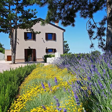 Luxury Villa Gradin Gračišče Esterno foto