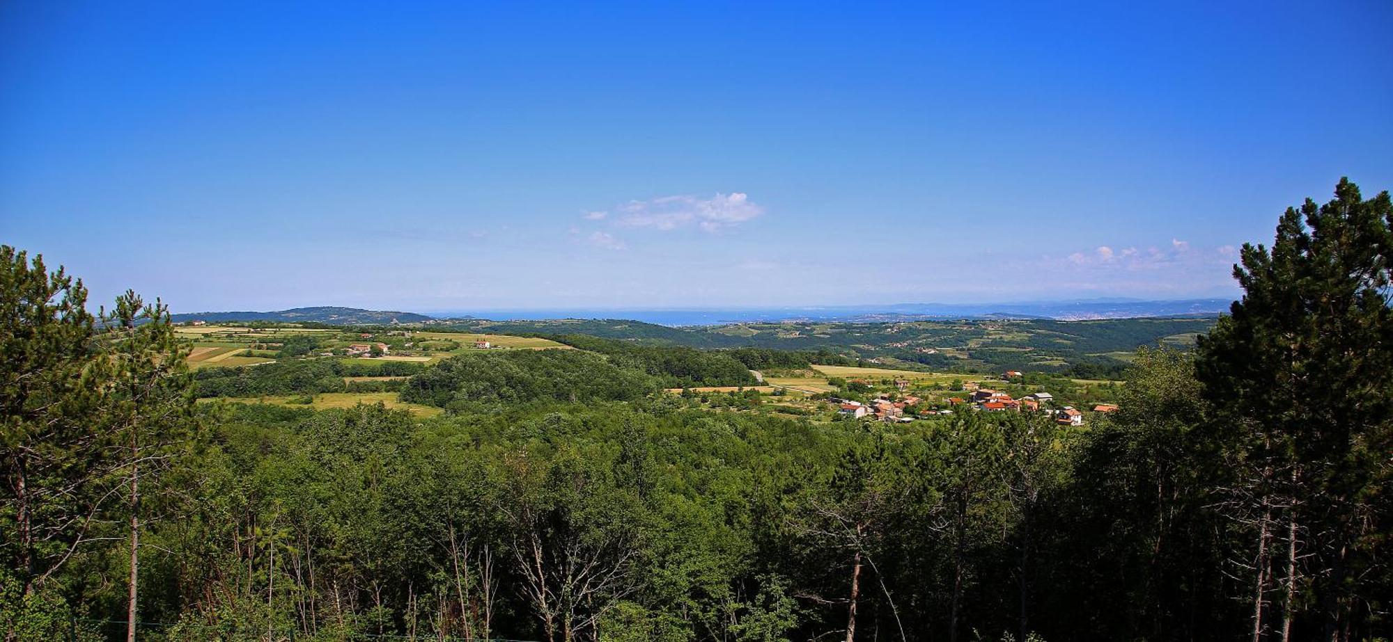 Luxury Villa Gradin Gračišče Esterno foto