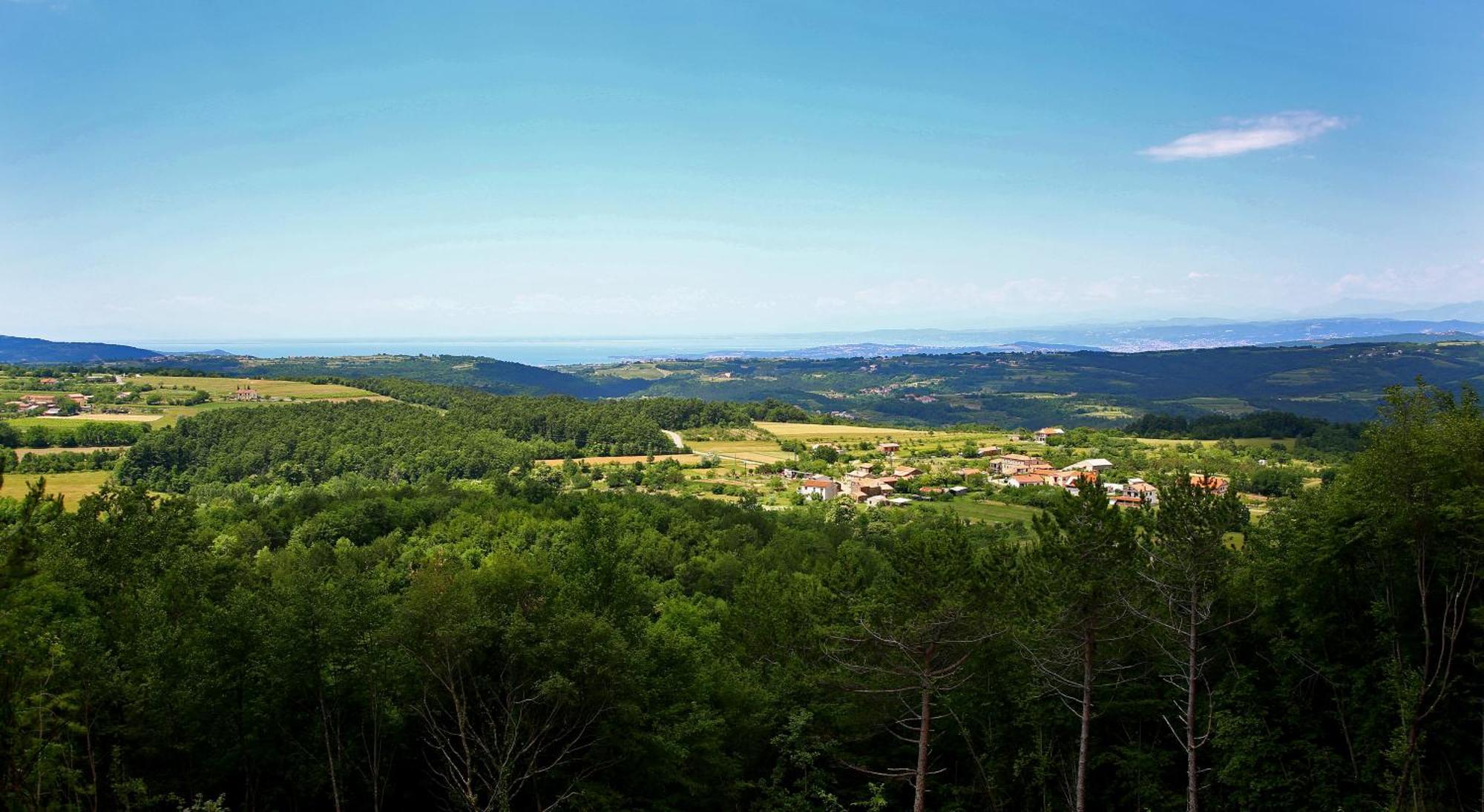 Luxury Villa Gradin Gračišče Esterno foto
