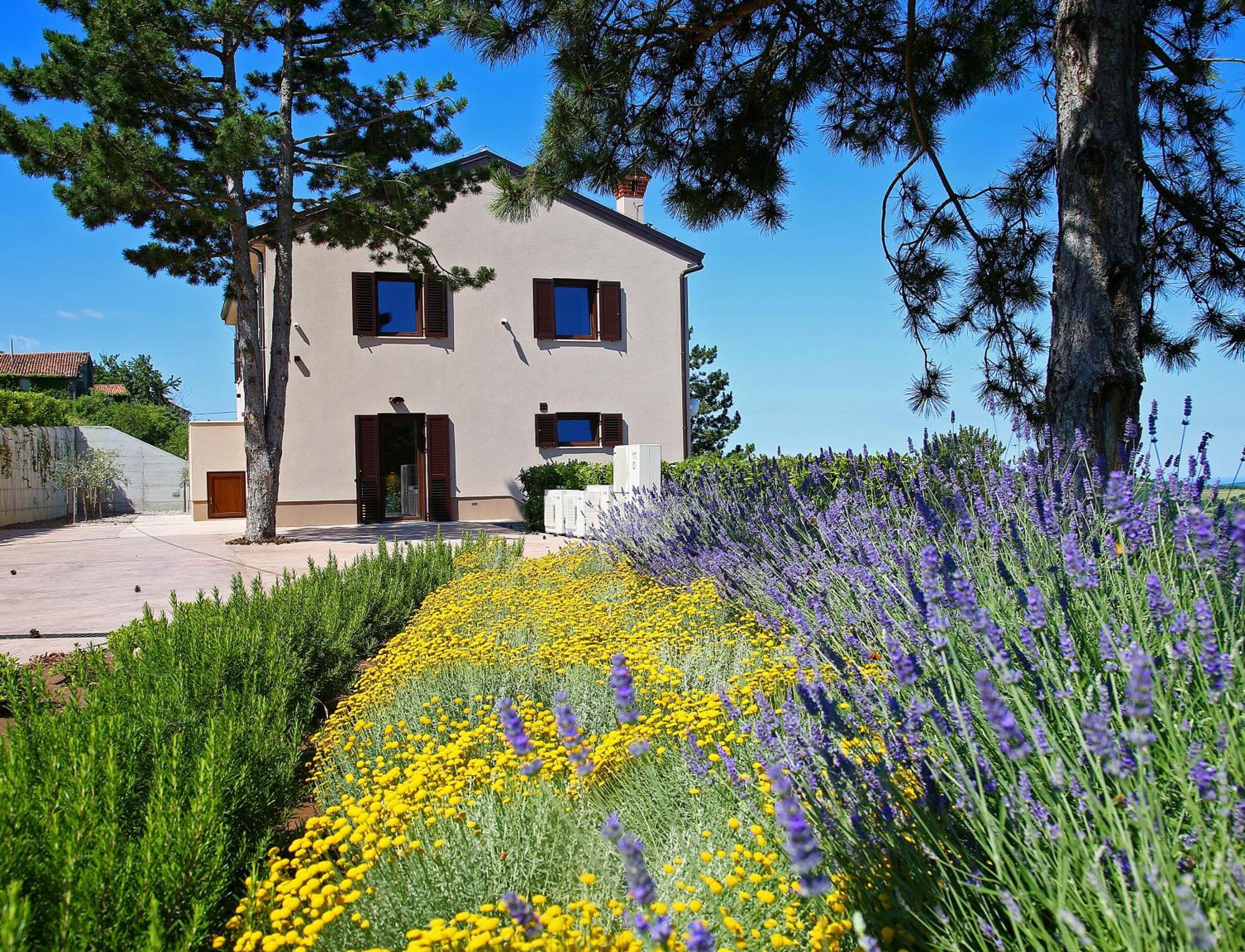Luxury Villa Gradin Gračišče Esterno foto